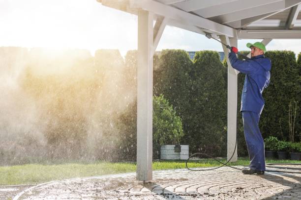 Best Dumpster Area Cleaning  in Jasper, AL