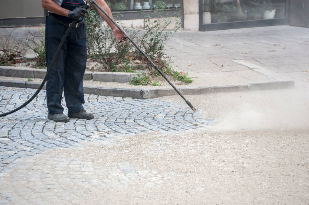 Best Gutter Cleaning  in Jasper, AL