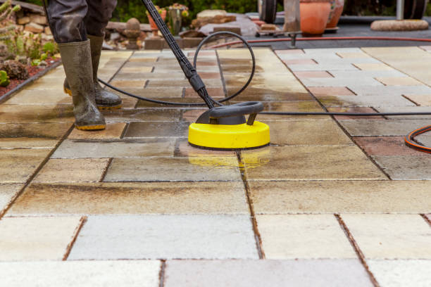 Best Animal Enclosure Cleaning  in Jasper, AL